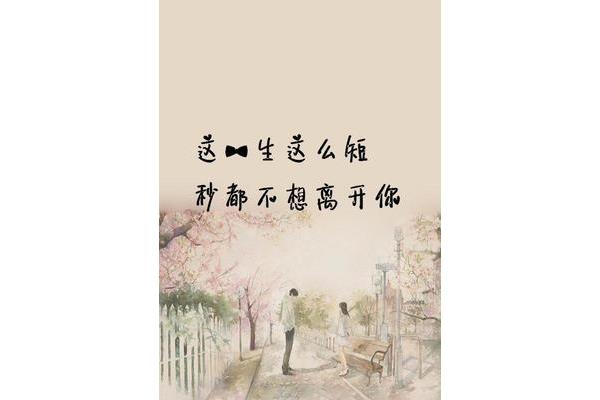 最美的情话