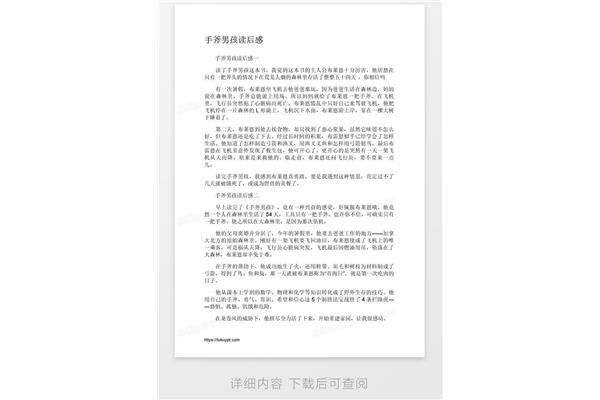手斧男孩读后感