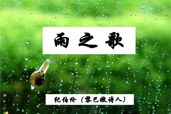 雨的歌曲有哪些