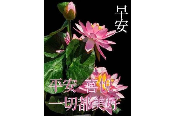 优美的祝福语