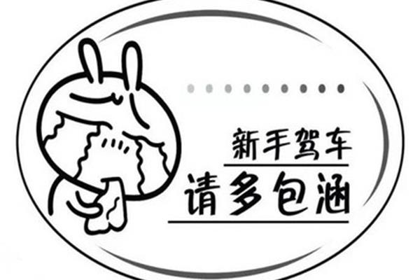 新手开车起步顺序