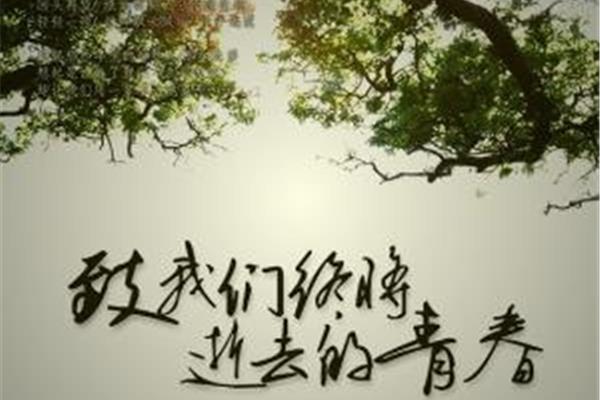 逝去的青春
