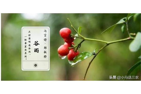 下雨的好处