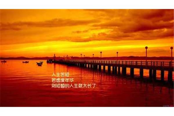 阳光的句子