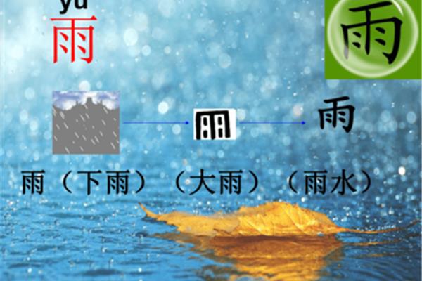 雨的歌曲有哪些