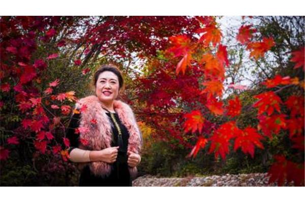 记忆中的芬芳