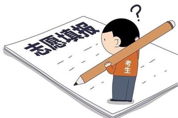 怎么填志愿