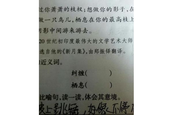 栖息的近义词