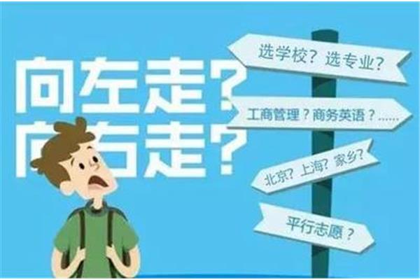 怎么填志愿