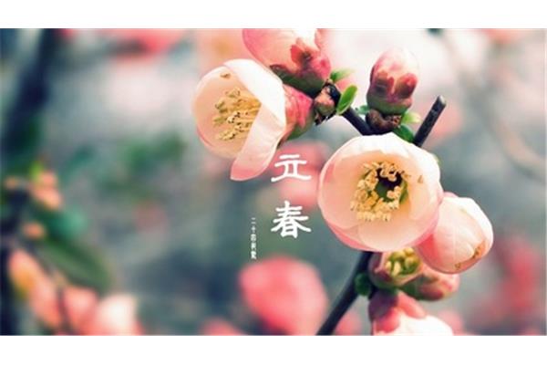 今年几月几日立春