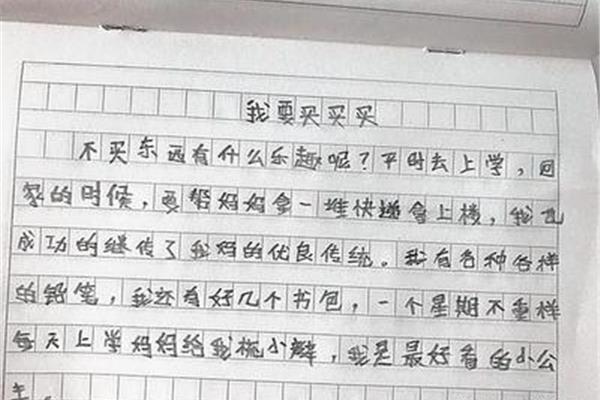 什么的乐趣作文