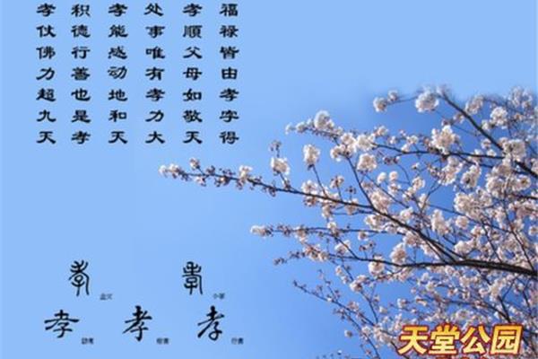 孝顺父母的成语