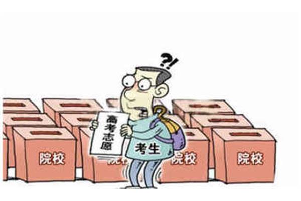 怎么填志愿