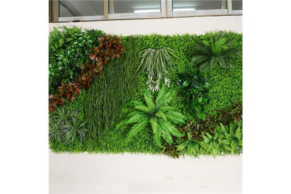 室内植物墙