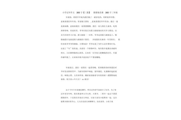 过年作文300