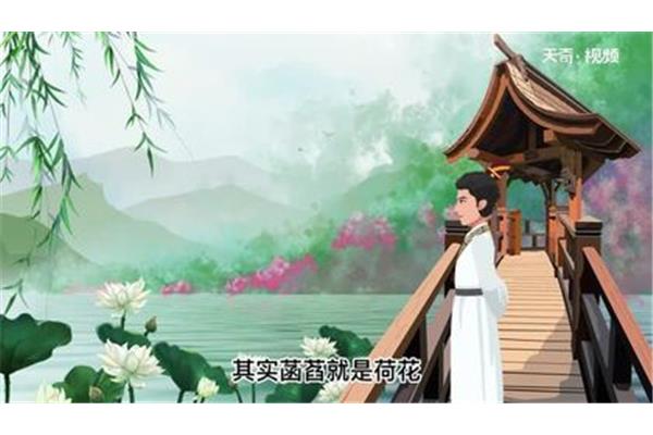 菡萏的读音