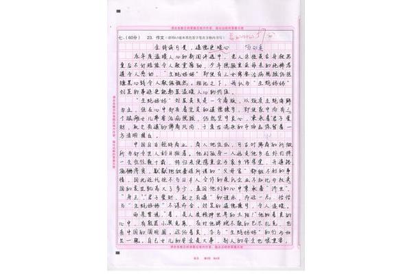 过年作文300