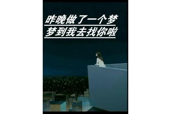 昨晚做了一个梦
