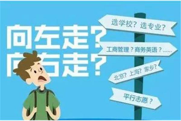 怎么填志愿