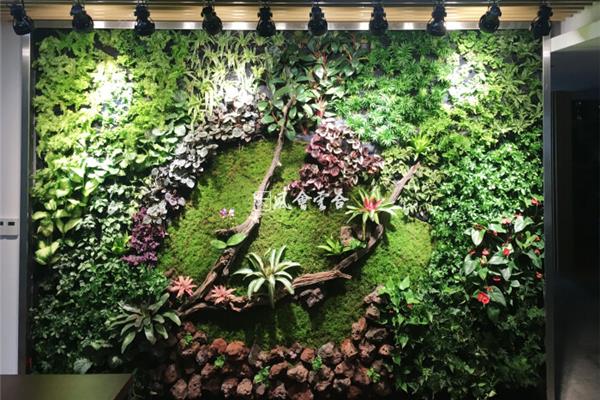 室内植物墙