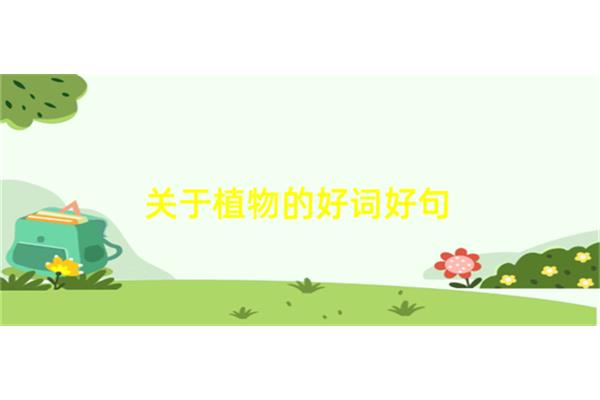 关于植物的好句
