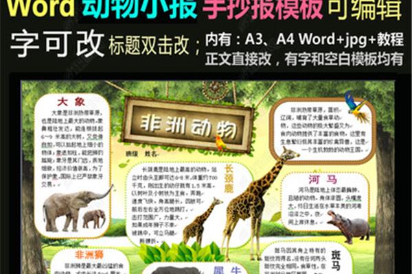 保护动物的英文