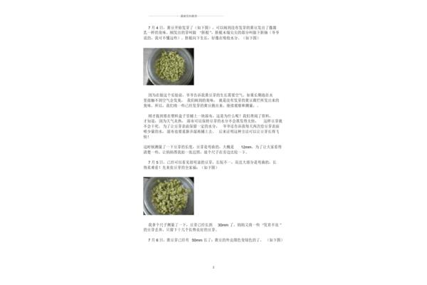生豆芽的观察日记
