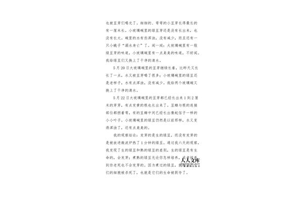 生豆芽的观察日记