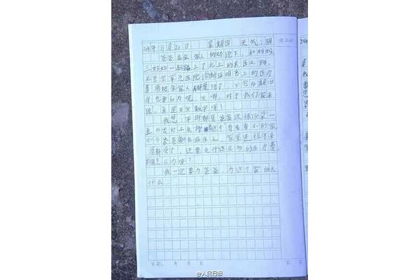洗碗日记50字