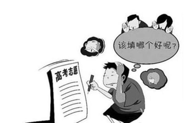 怎么填志愿