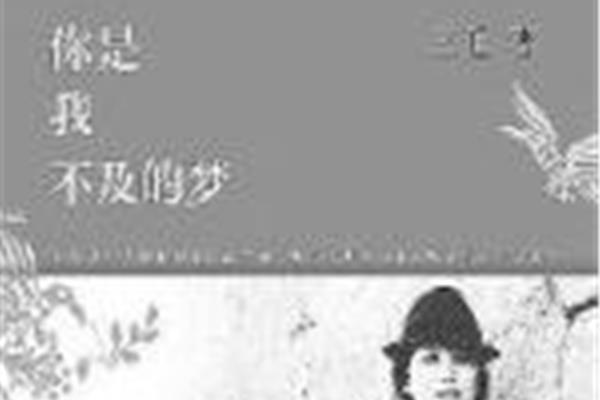 你是我不及的梦
