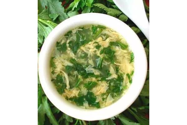 菊花脑是什么菜