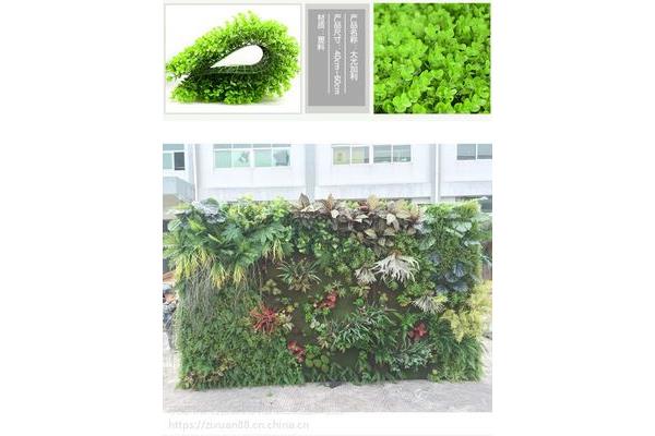 室内植物墙