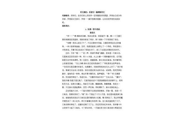 孤独的作文
