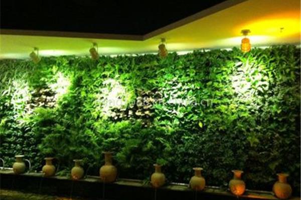 室内植物墙