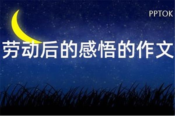 劳动后的感悟