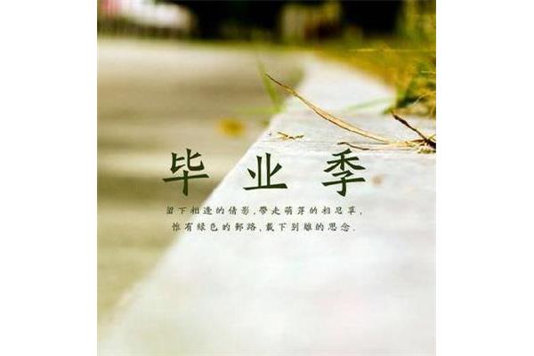 难忘的青春