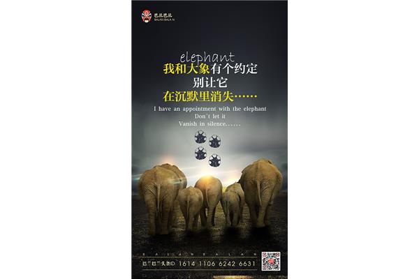 保护动物的英文