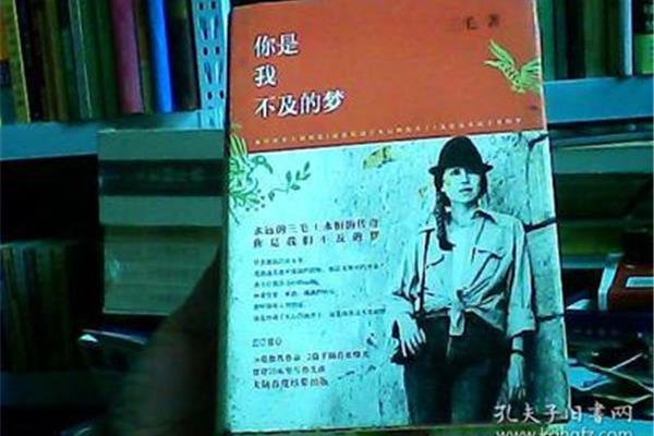 你是我不及的梦