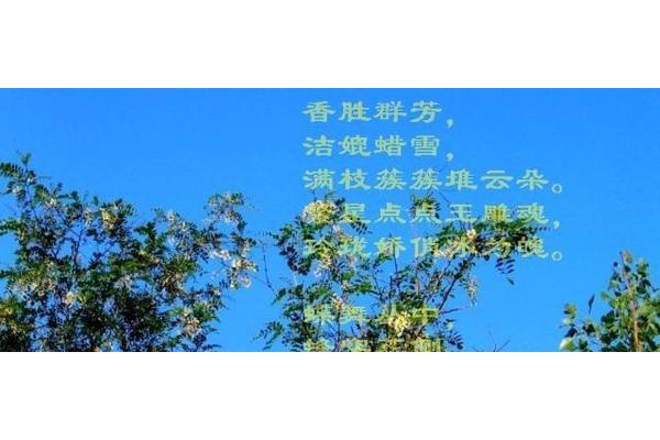 春的现代诗