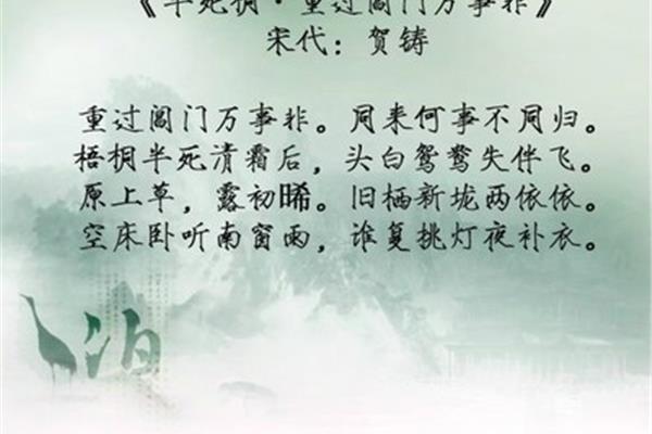 凄凉的诗句