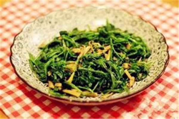 菊花脑是什么菜