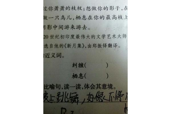 栖息的近义词