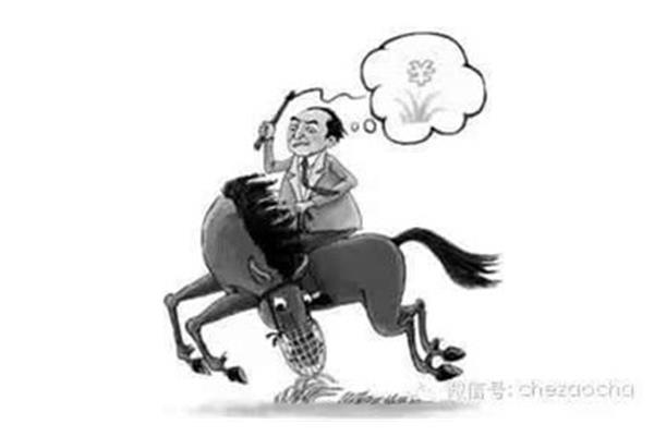什么的马匹