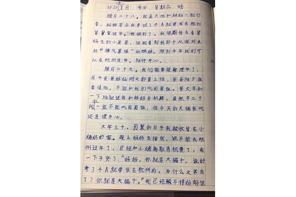 小日记20个字