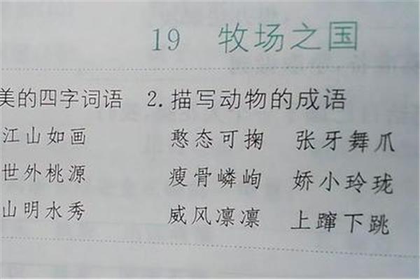 美的四字成语