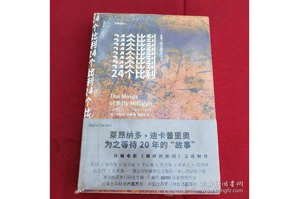 24个比利小说