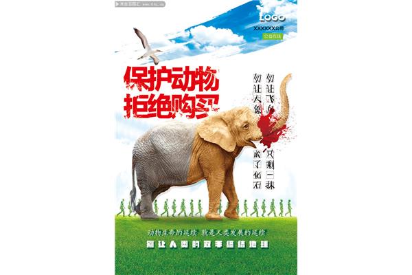 保护动物的宣传语
