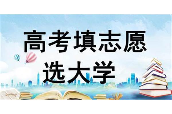 高考如何填报志愿