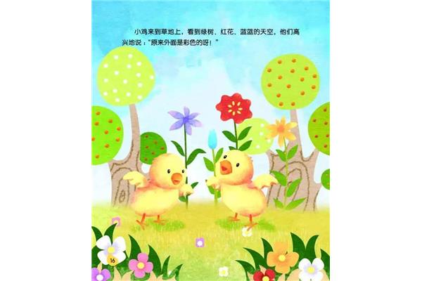 小鸡的故事